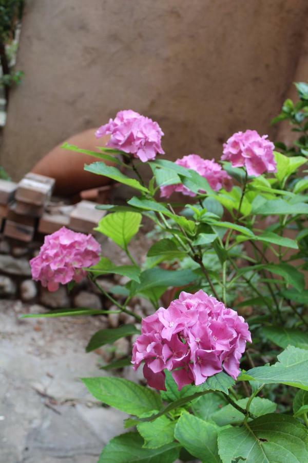 Il Giardino Dei Fiori Apartment Mandello del Lario Exterior foto